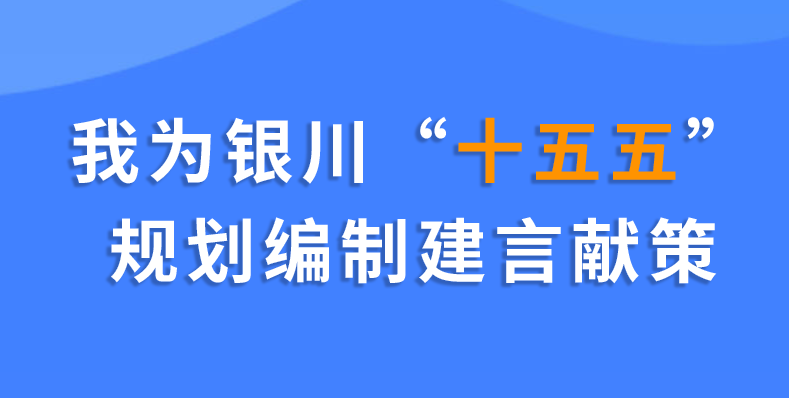 我为“十五五”规划编制建言献策